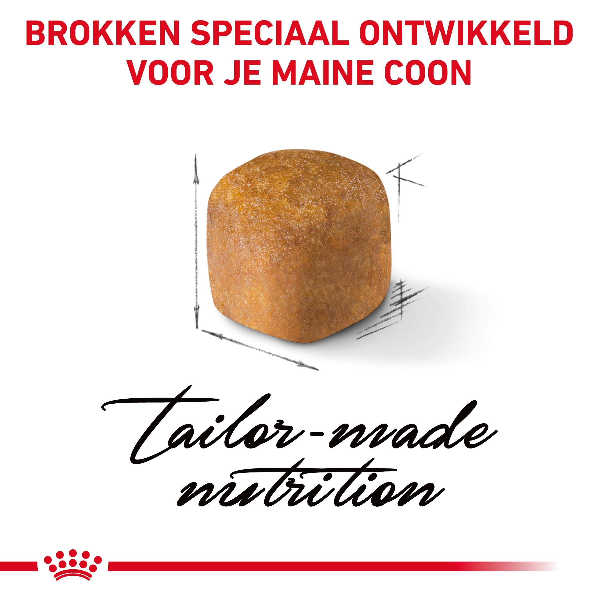 Royal Canin Maine Coon Kitten - Kattenvoer - 4 - Gevogelte