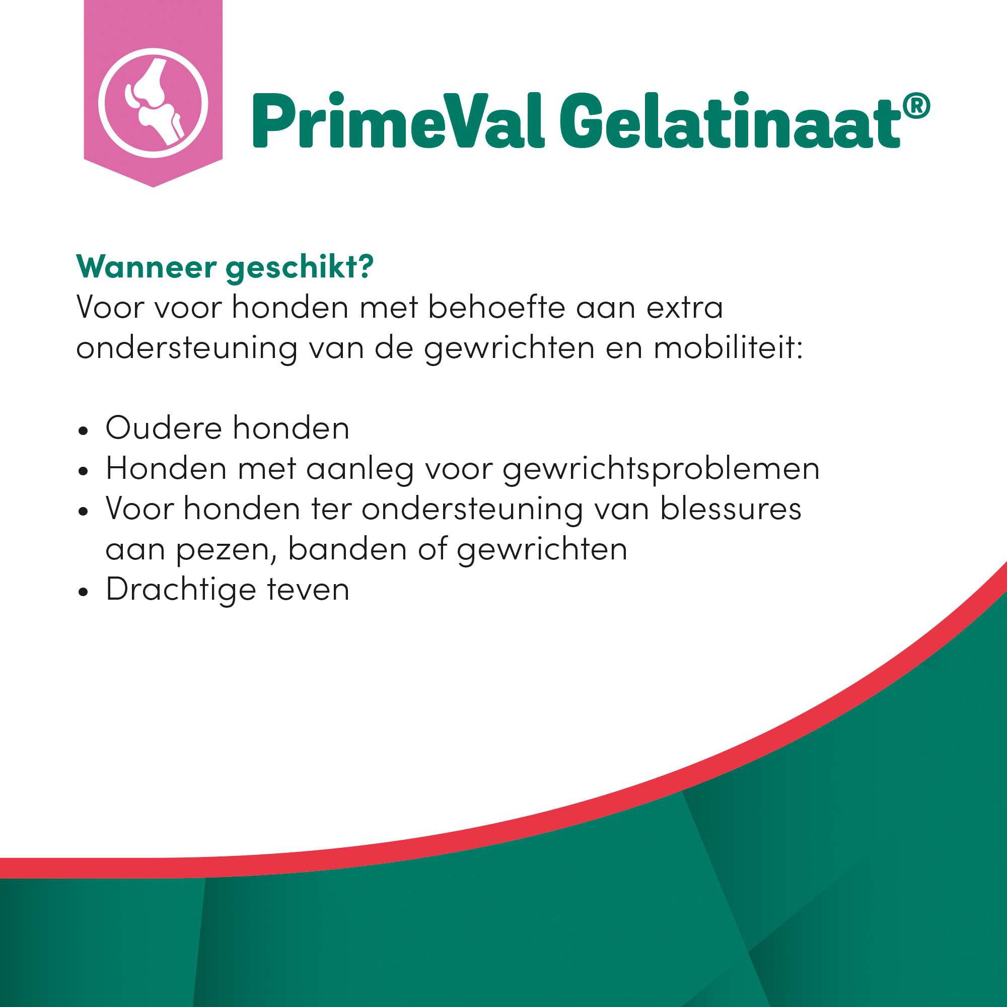 Primeval Gelatinaat Hond - Voedingssupplement - 1.00 cm - 2.00 - 1.00 cm - 1.00 cm