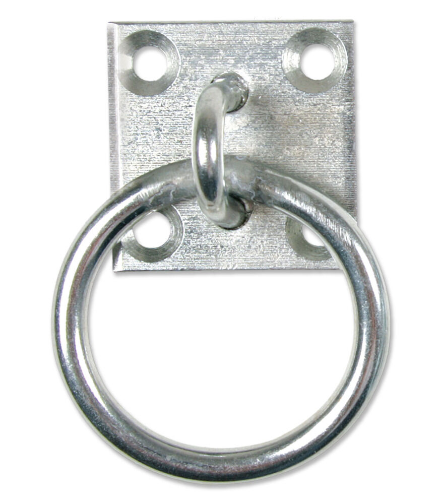 Waldhausen Vastzetring muurplaat   - Stalaccessoires - Stalbenodigdheden