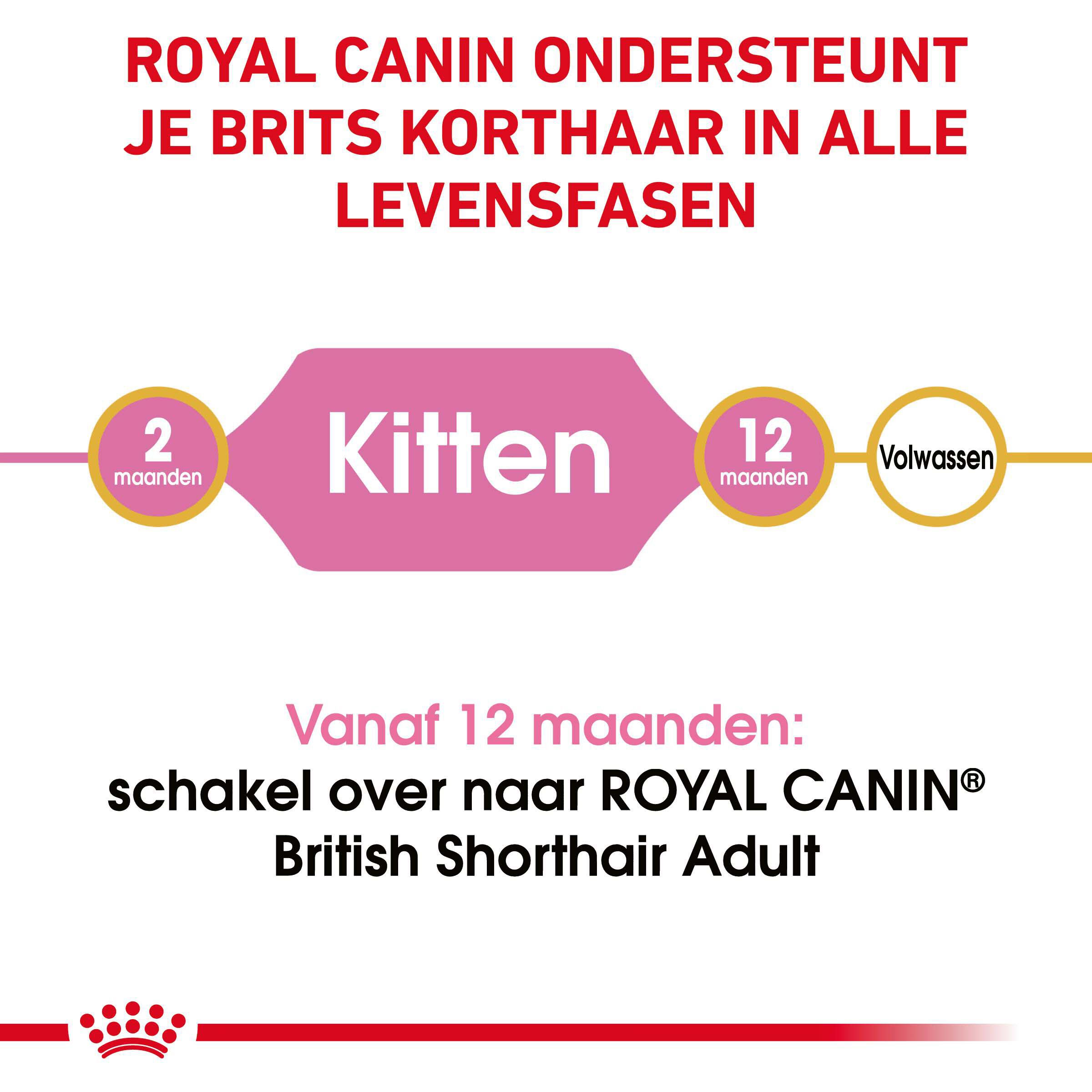 Royal Canin Britse Korthaar Kitten - Kattenvoer - 2 - Gevogelte
