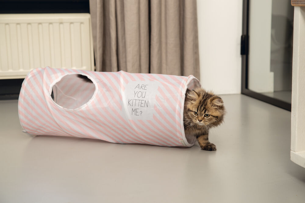 Beeztees Nini - Kattentunnel - Roze