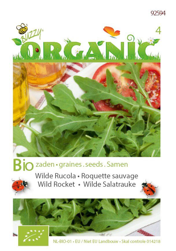 Buzzy Rucola Eruca sativa Wilde meerjarig - Sla Buzzy Rucola Eruca sativa Wilde meerjarig - Sla