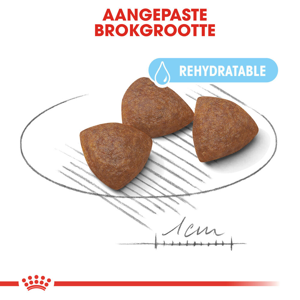 Royal Canin Medium Starter Mother and Babydog - Hondenvoer - 4 - gevogelte