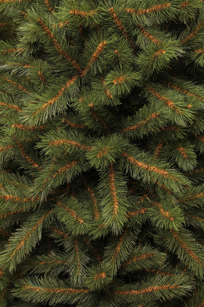 Black Box Kingston - Kunstkerstboom - 215 cm