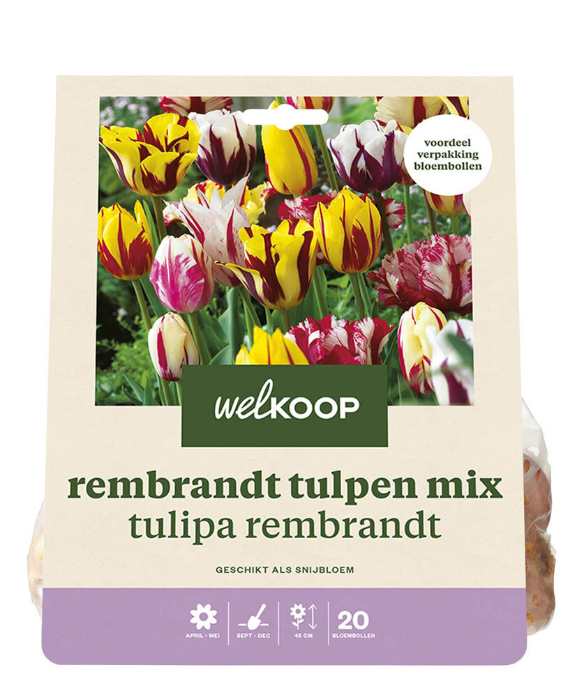 Welkoop Tulpen mix Tessa - Bloembollen Welkoop Tulpen mix Tessa - Bloembollen
