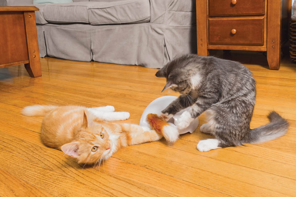 Petsafe Fox Tail - Elektrisch kattenspeelgoed