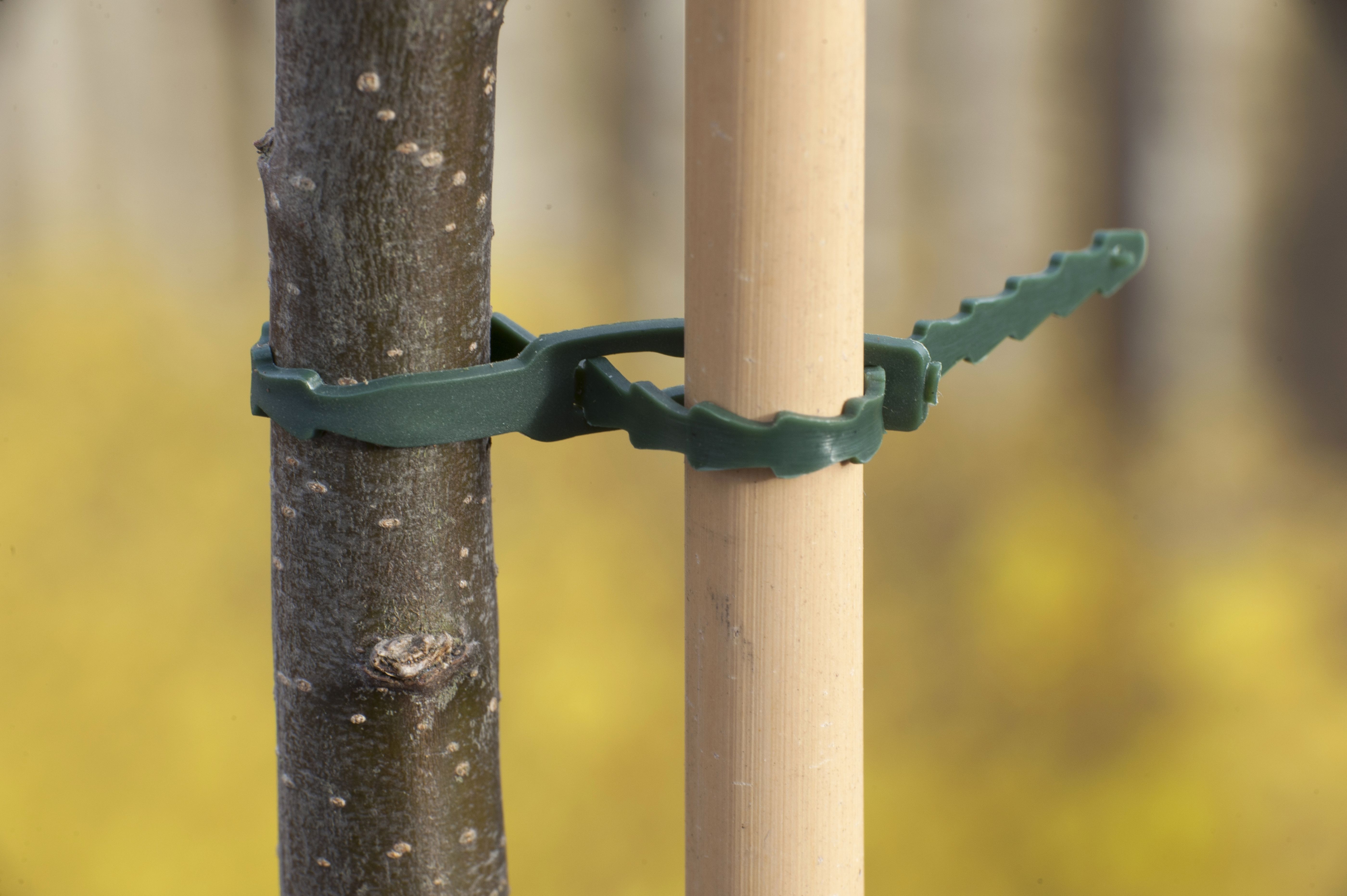 Nature Plastiband - Touw en Bindmaterialen -