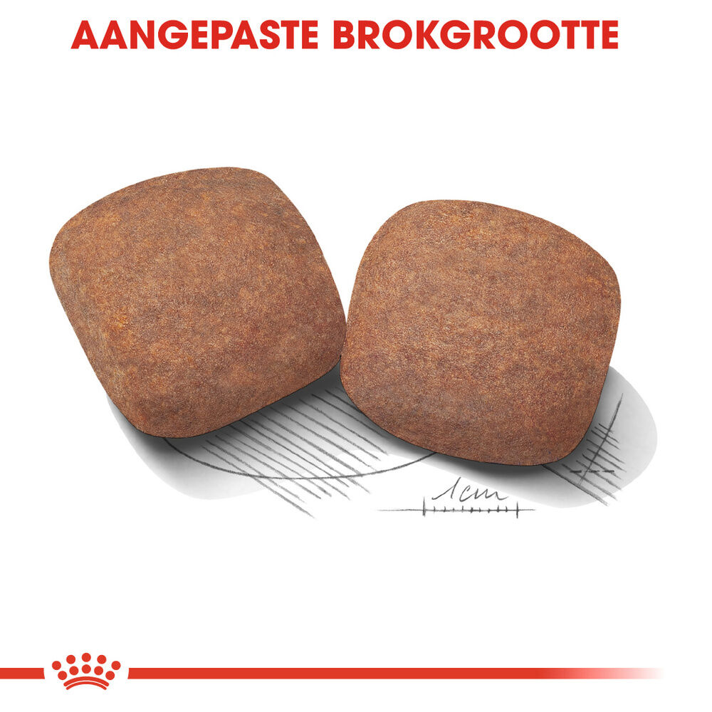 Royal Canin SHN Giant Adult - Hondenvoer - 15 - gevogelte