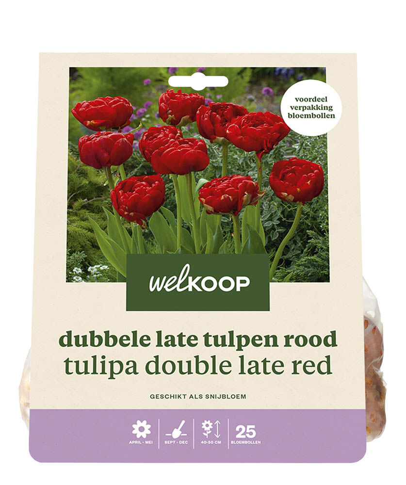Welkoop Dubbele Tulp Charlie Mila - Bloembollen Welkoop Dubbele Tulp Charlie Mila - Bloembollen