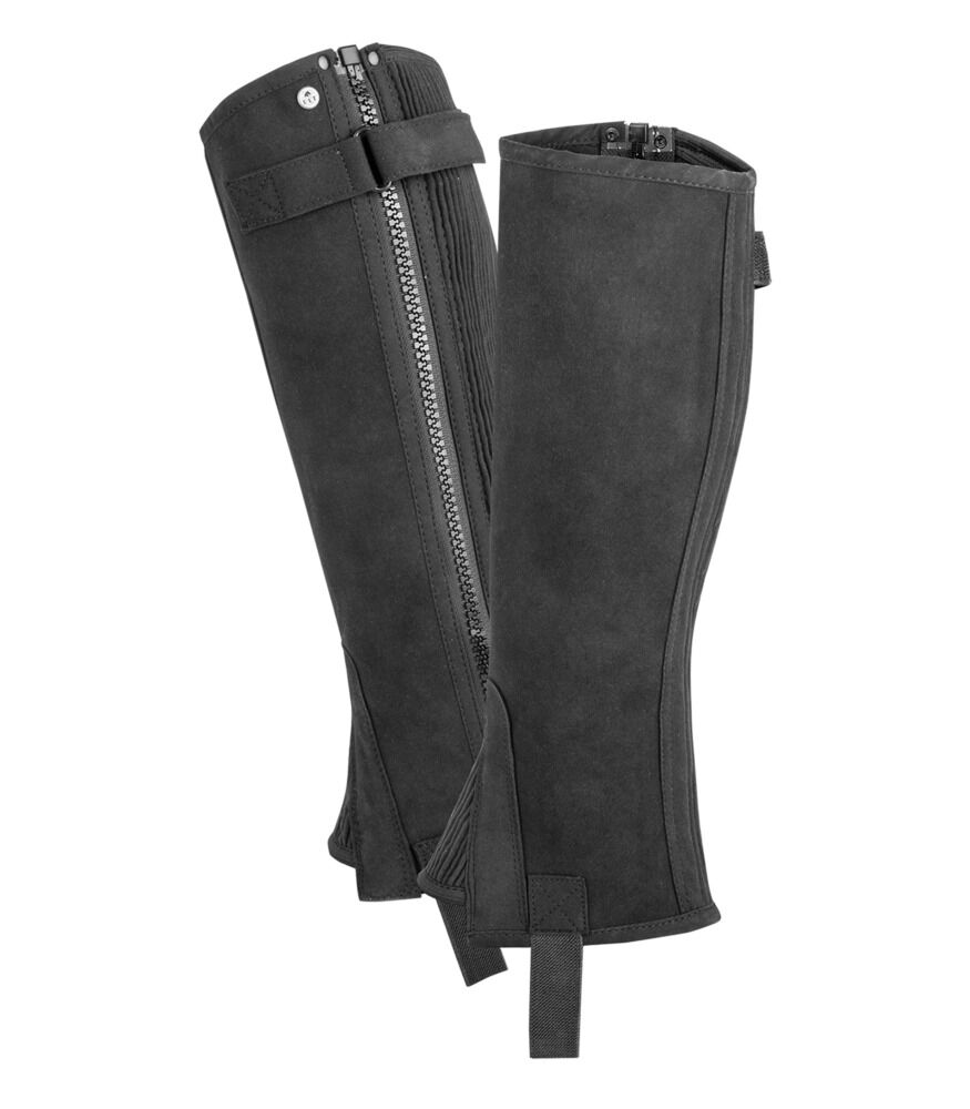 Elt Daily - Chaps