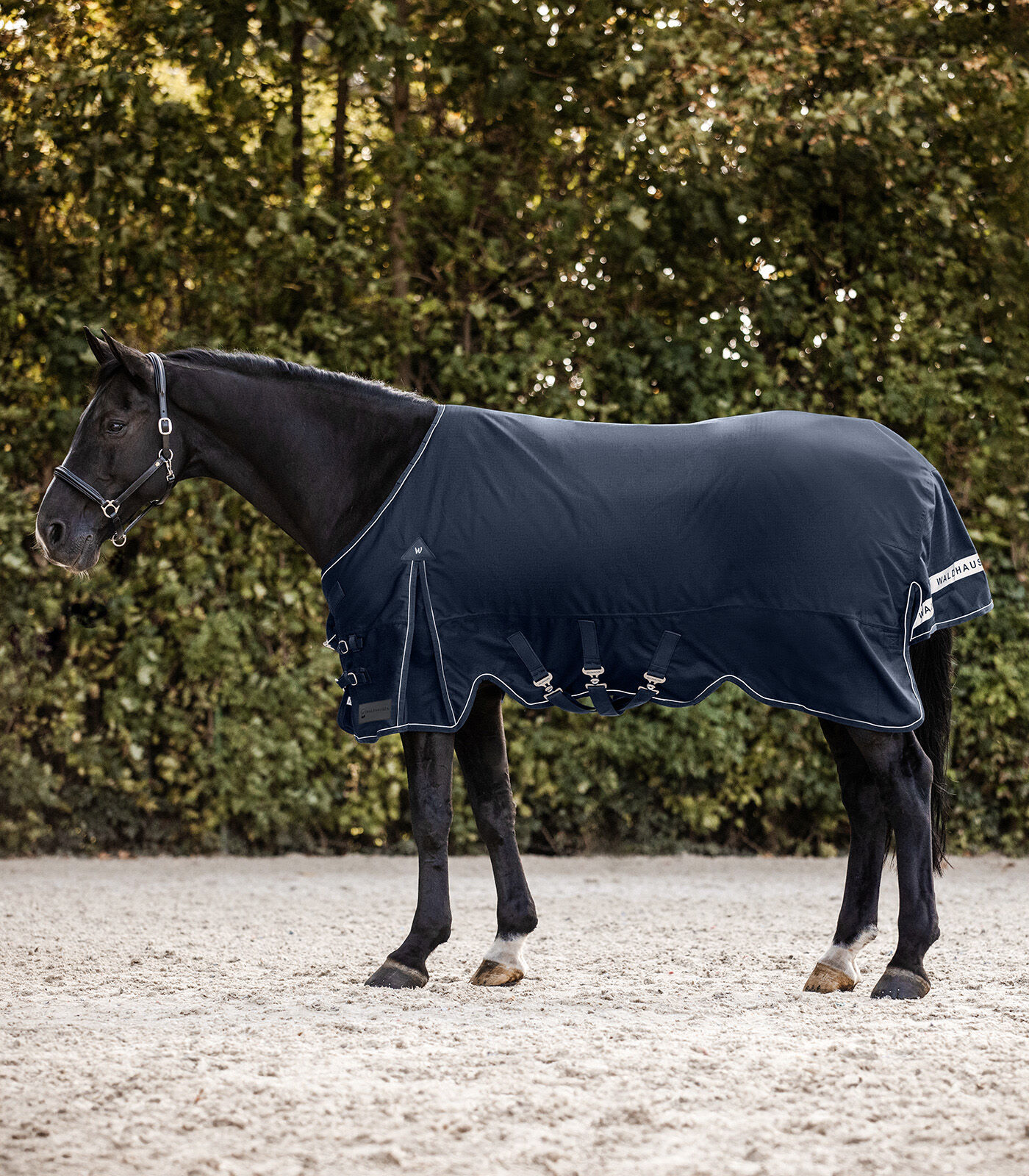 Waldhausen Scandic 200 gr - Winterdeken - Paardendeken