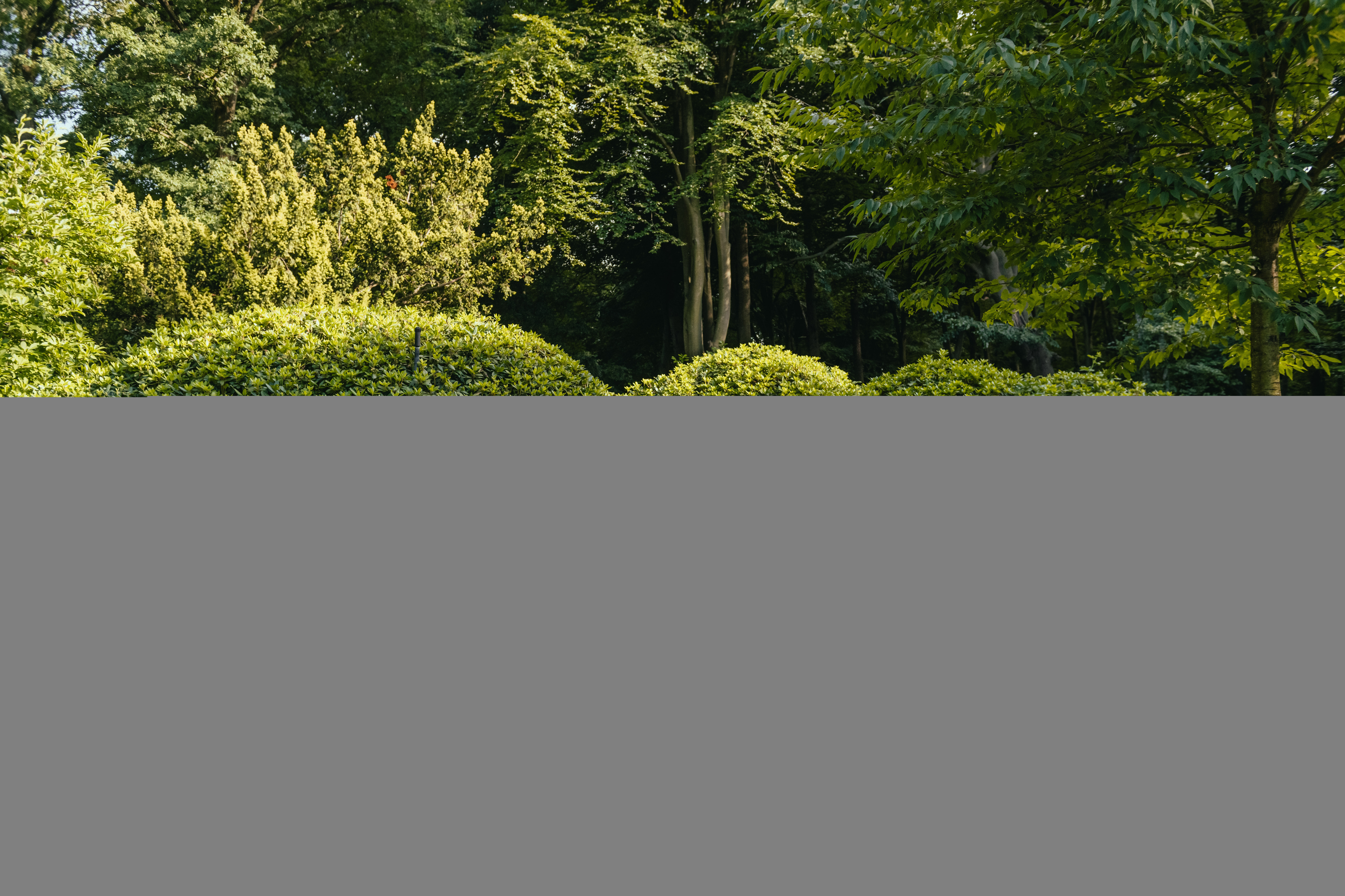 Nestera Penthouse - Kippenhok - tot 8 kippen - 117.00 cm - Zwart/Groen - 91.00 cm - L - 80.00 cm