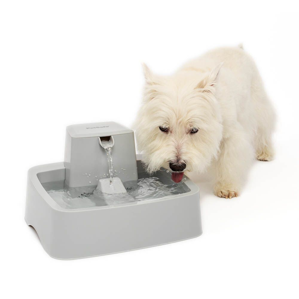 Petsafe Drinkwell - Drinkfontein - 28.60 cm - Grijs - 32.00 cm - 32.00 cm