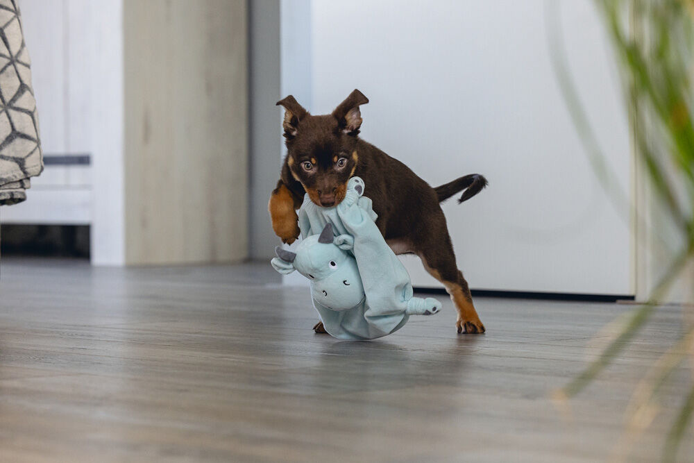 Beeztees Draak Knuffeldoek - Puppyspeelgoed - groen - 35.5x13x5 cm - S