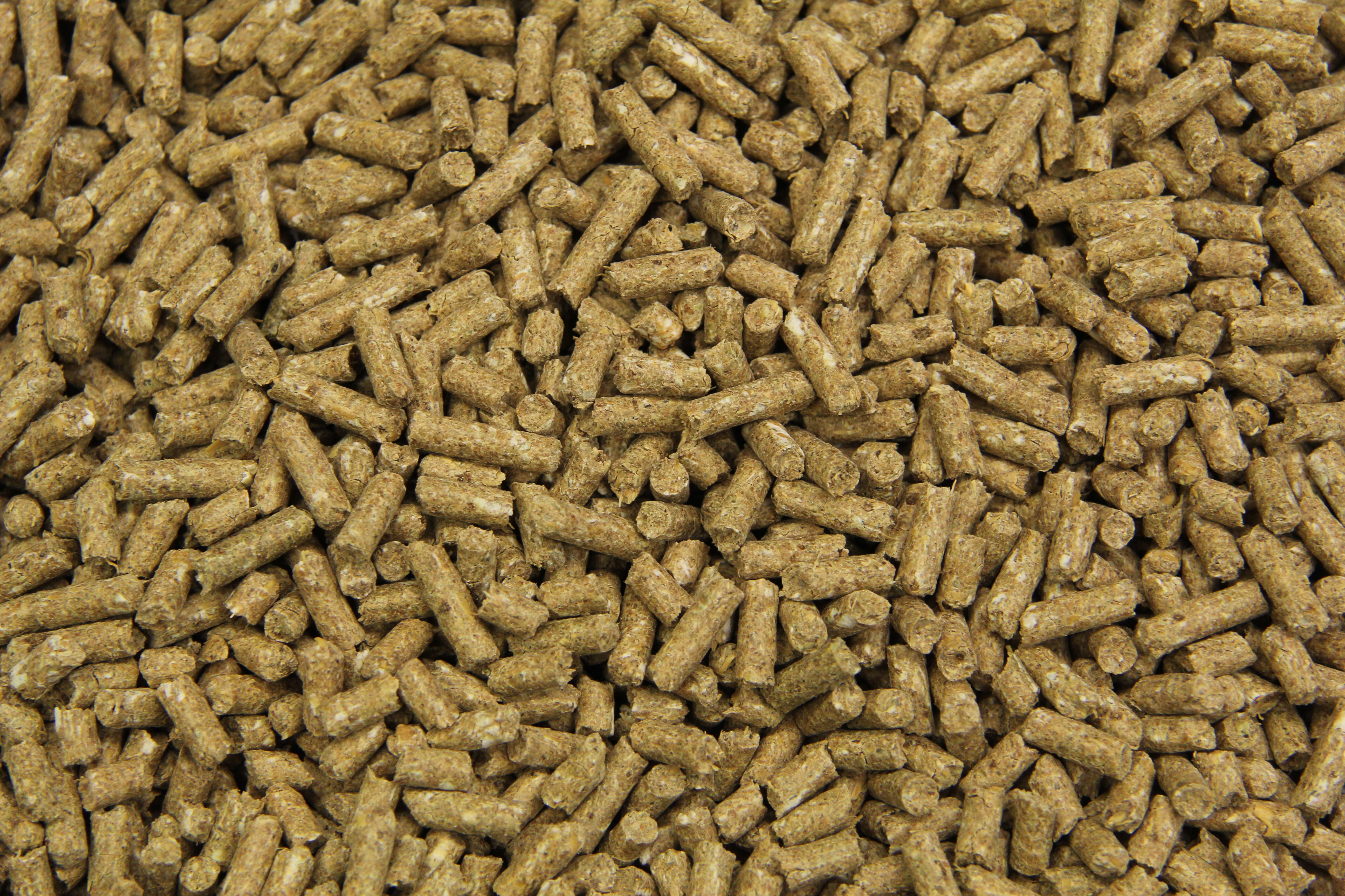 Subli Prestatiebrok - Sport/ prestatie - 20