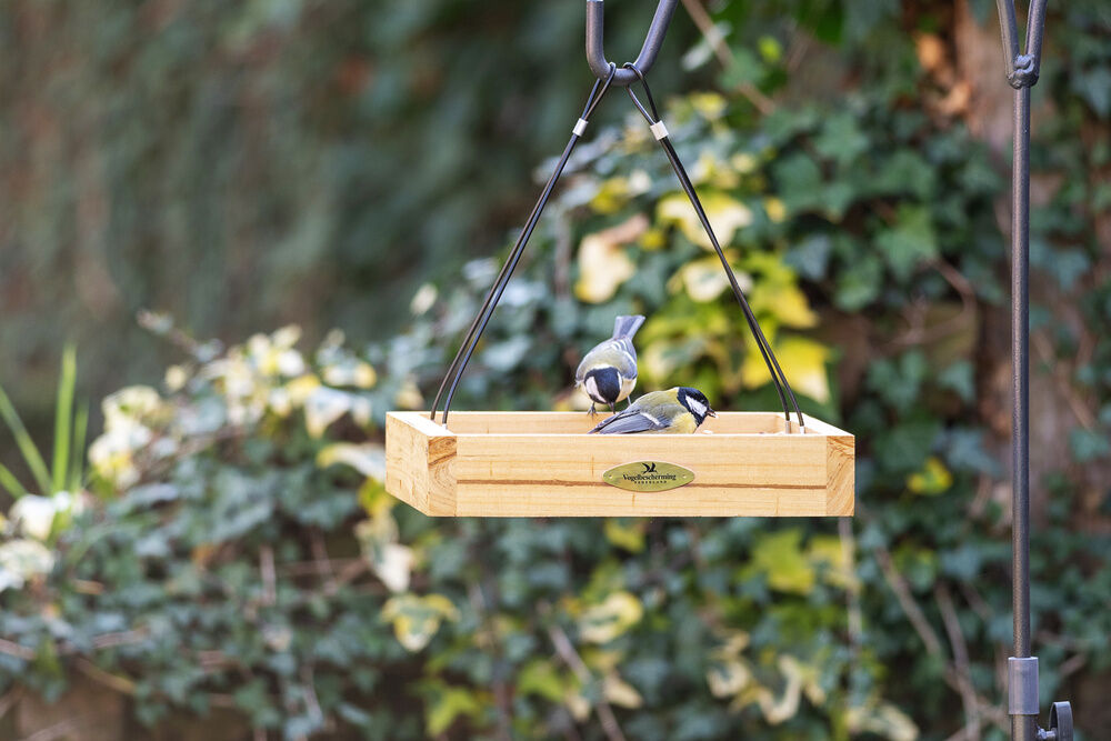 CJ Wildbird Foods Aarhus - Voederhuis - 30x30x5.7 cm