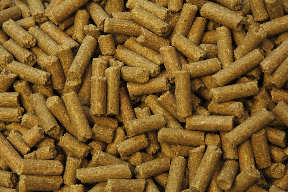 Subli Mineralenbikkels - Specialiteit - 10