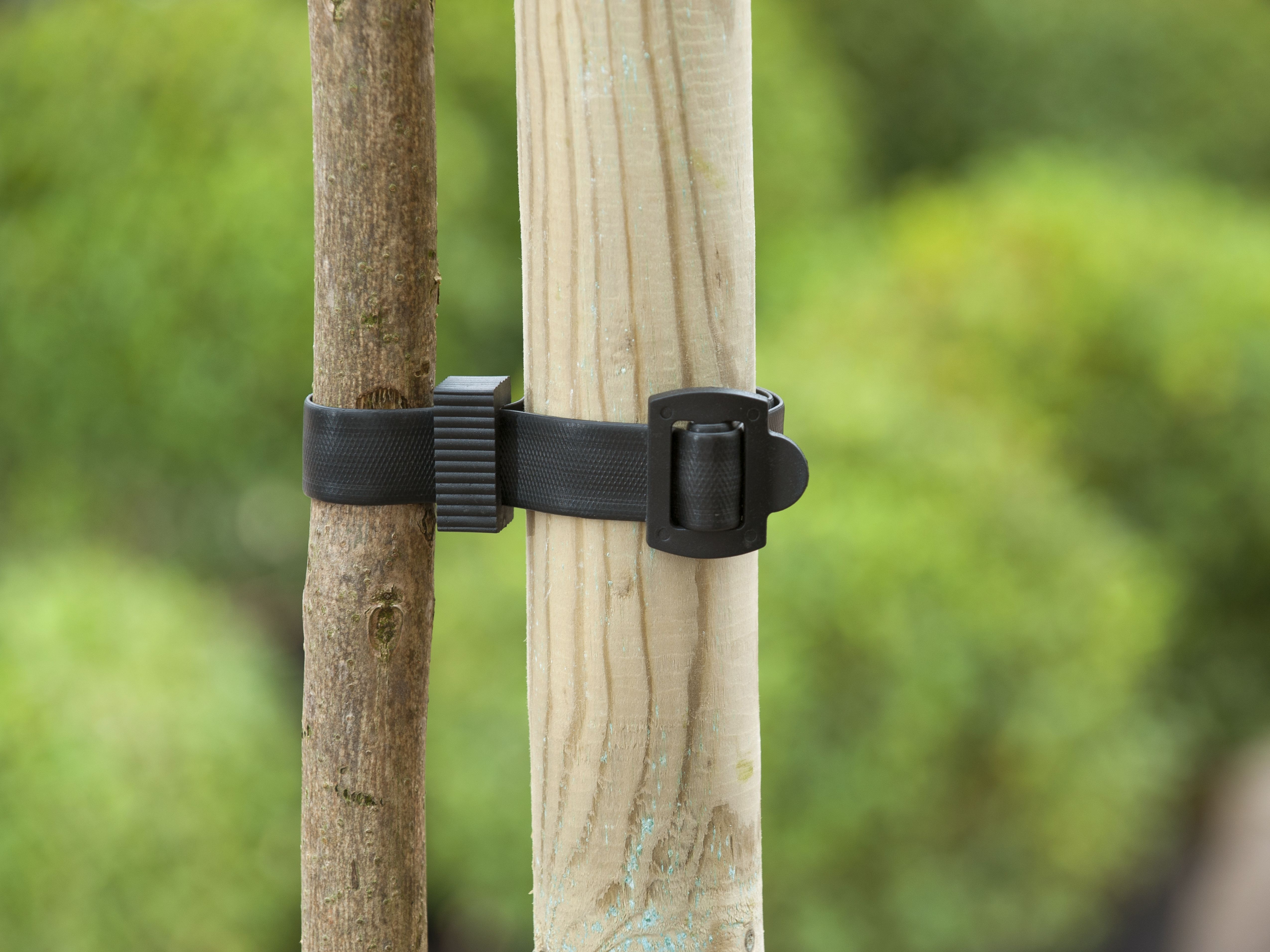 Nature Boomband - 45x2.5cm - Touw en Bindmaterialen Nature Boomband - 45x2.5cm - Touw en Bindmaterialen