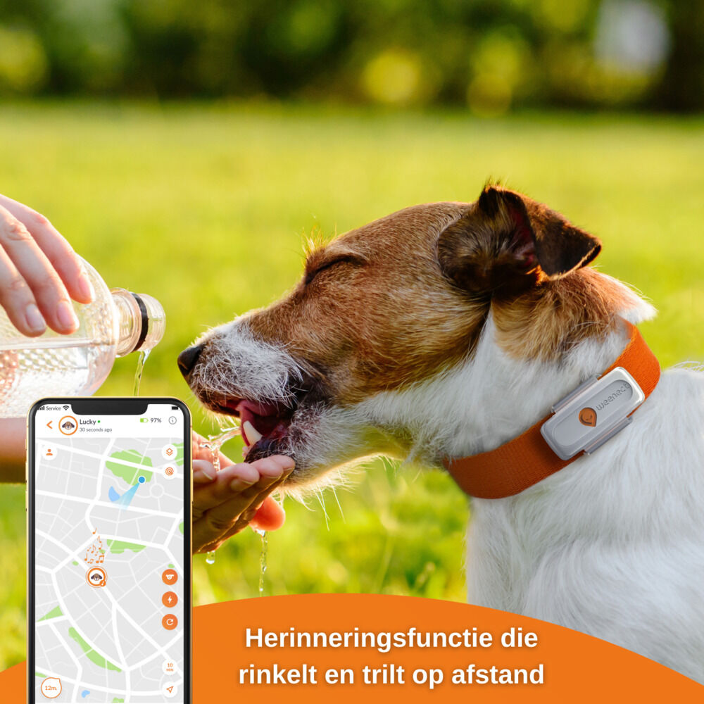 Weenect - GPS tracker Hond - 14.50 cm - wit - 12.00 cm - XS - 3.00 cm