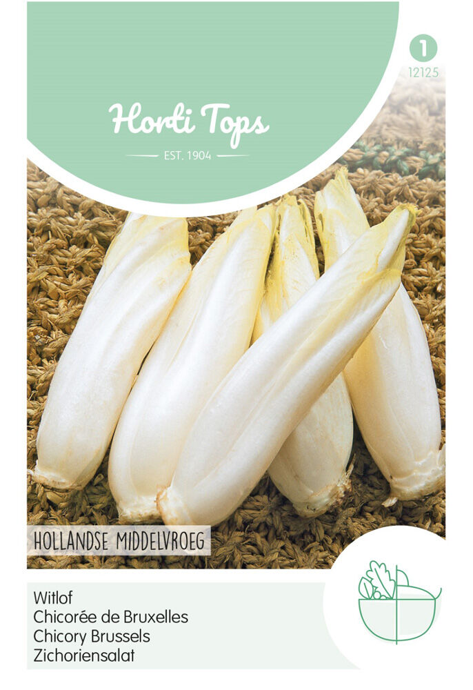 Hortitops Witlof Cichorium intybus Witlof Hollandse Middelvroeg - Edellof - Groentezaden Hortitops Witlof Cichorium intybus Witlof Hollandse Middelvroeg - Edellof - Groentezaden