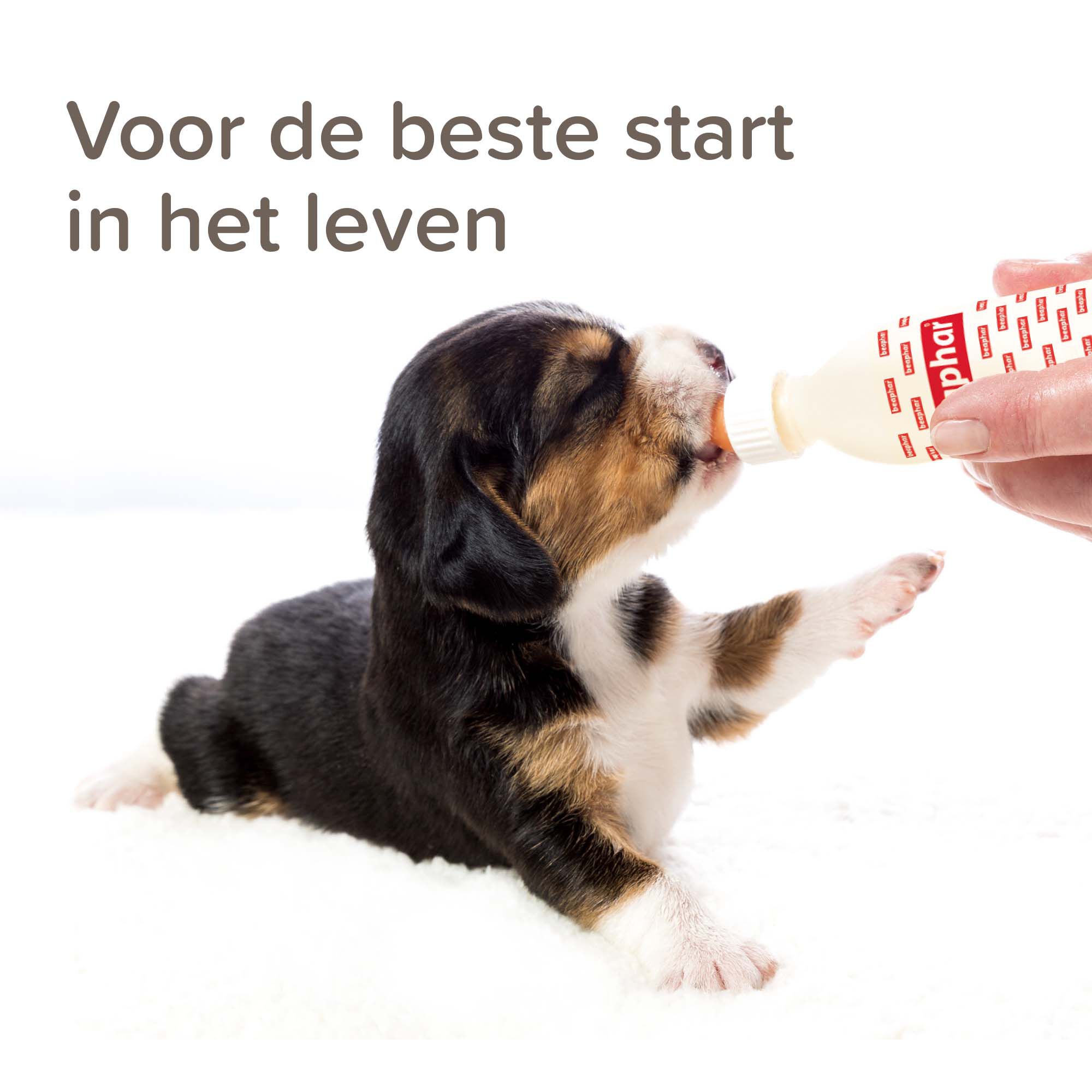 Beaphar Lactol - Puppy Milk - 250
