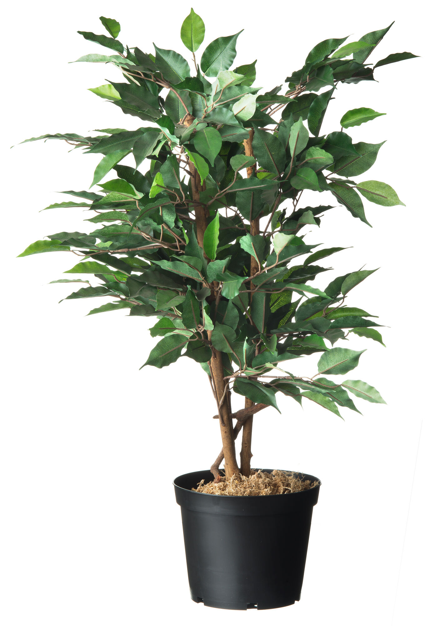 Nature Plantcontainer - Kweekbenodigdheden - 19.00x22.50x22.50 cm Nature Plantcontainer - Kweekbenodigdheden - 19.00x22.50x22.50 cm