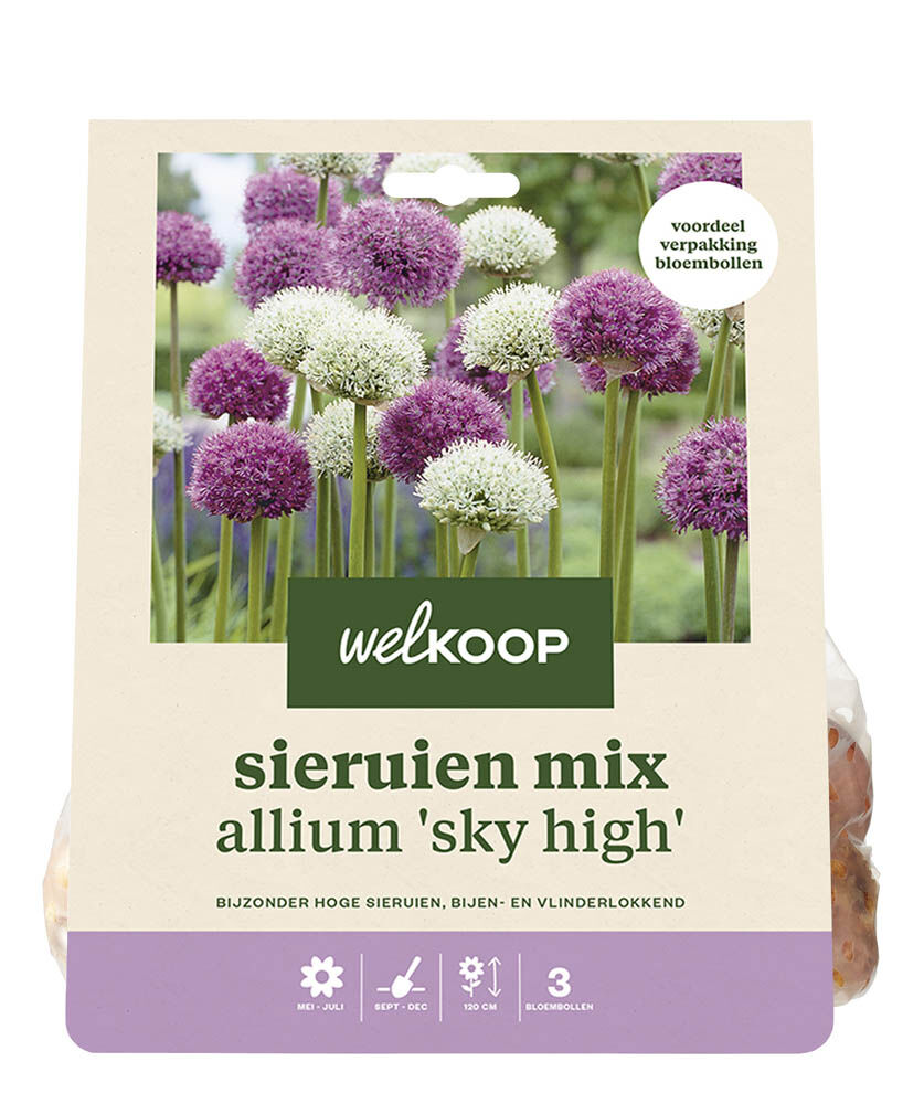 Welkoop Allium Lou - Bloembollen Welkoop Allium Lou - Bloembollen