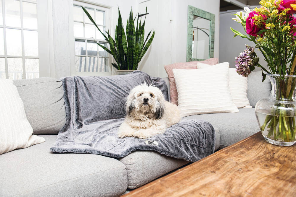 Dog Gone Smart Nano Kuzzi Infrarood - Hondendeken - 1.00 cm - Grijs - 127.00 cm - Extra groot - 102.00 cm