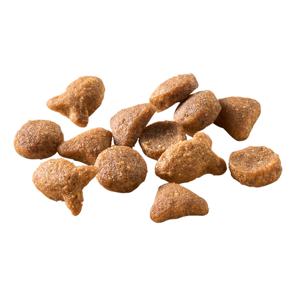 Welkoop Adult - Kattenvoer - 2 - vis