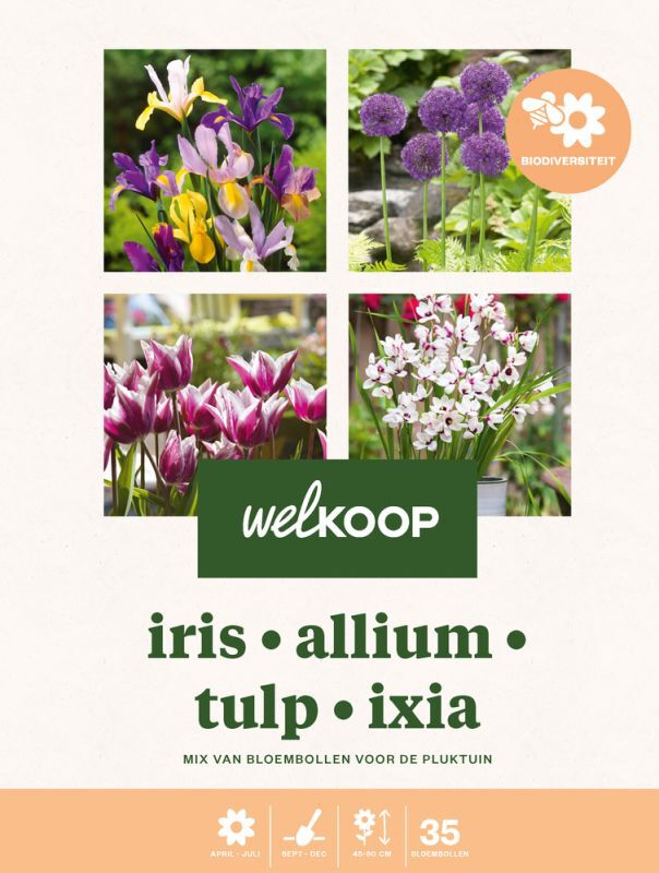 Welkoop Iris Allium Tulp Ixia - Biodiversiteit - Bloembollen Welkoop Iris Allium Tulp Ixia - Biodiversiteit - Bloembollen