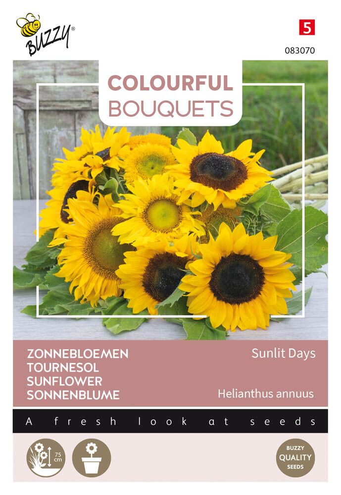 Buzzy Colourful Bouquets Sunlit Days - Bloemzaden Buzzy Colourful Bouquets Sunlit Days - Bloemzaden