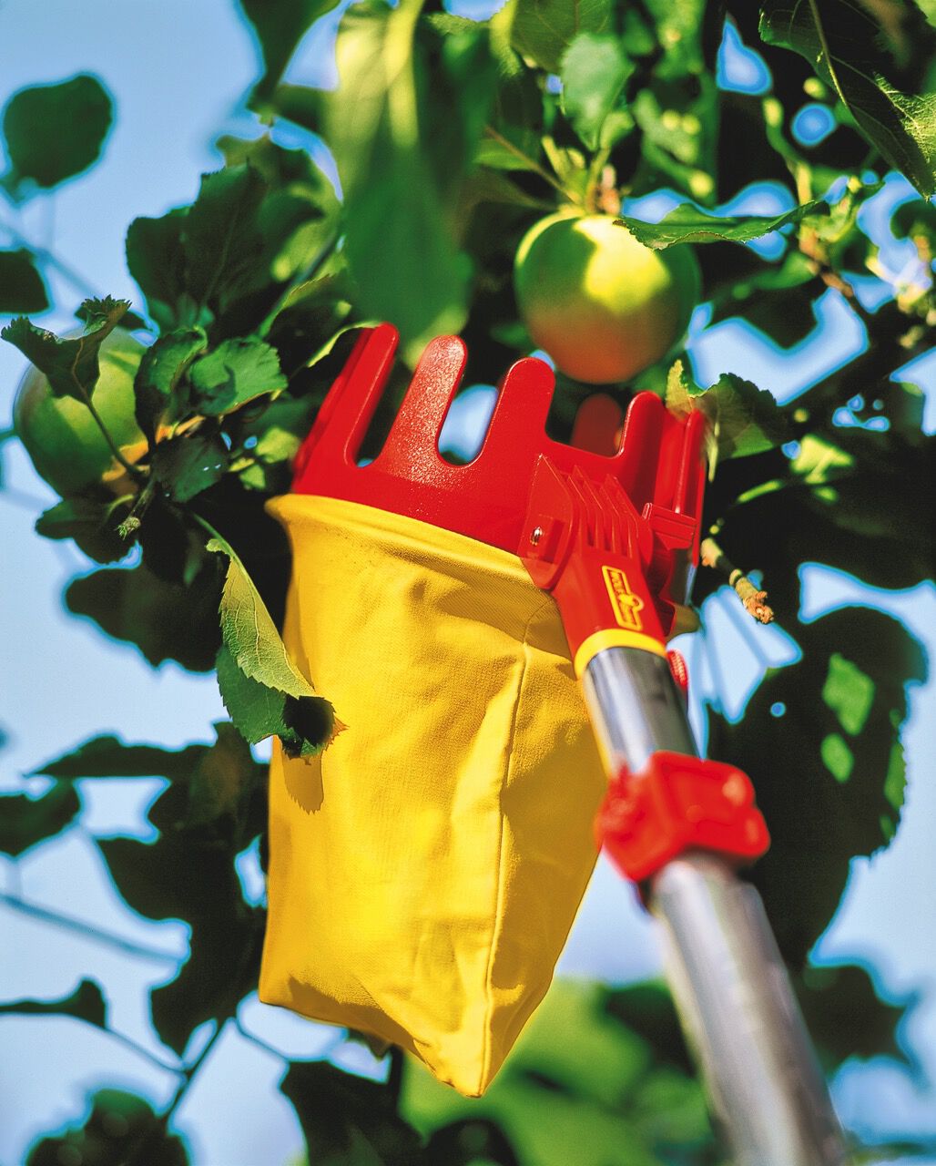 WOLF-Garten Vario RG-M - Fruitplukker