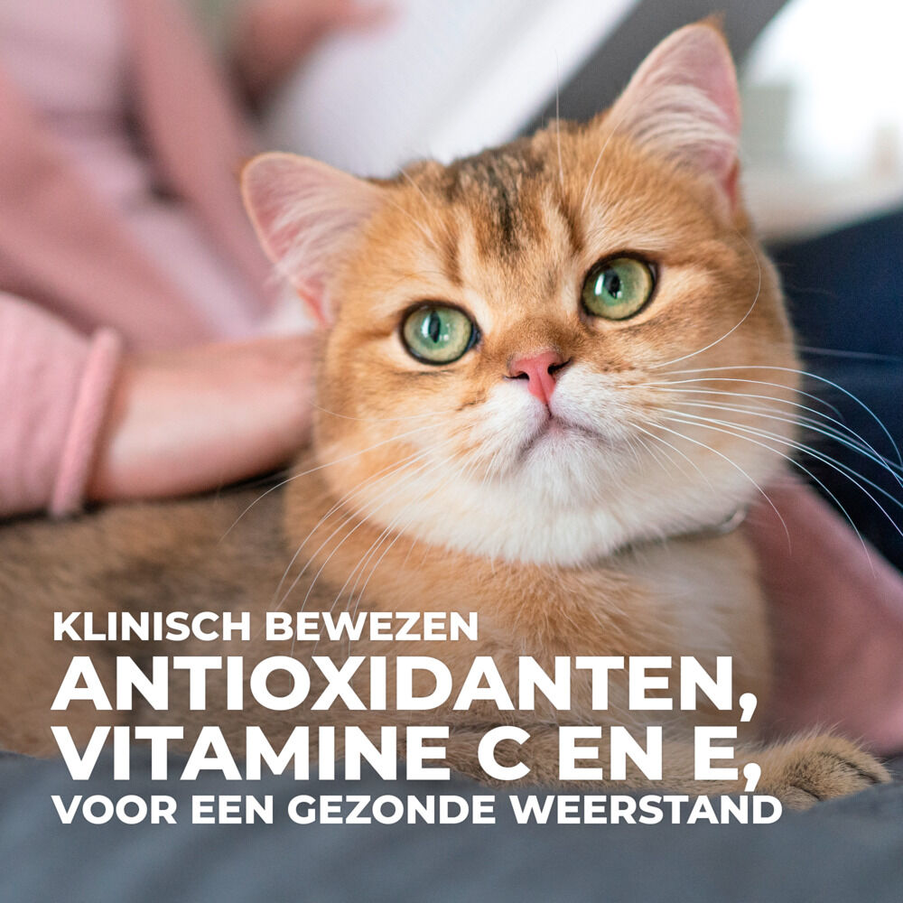 Hill's Science Plan Senior - Kattenvoer - 12x85 gram - Kip - Vis - 1,02 kg