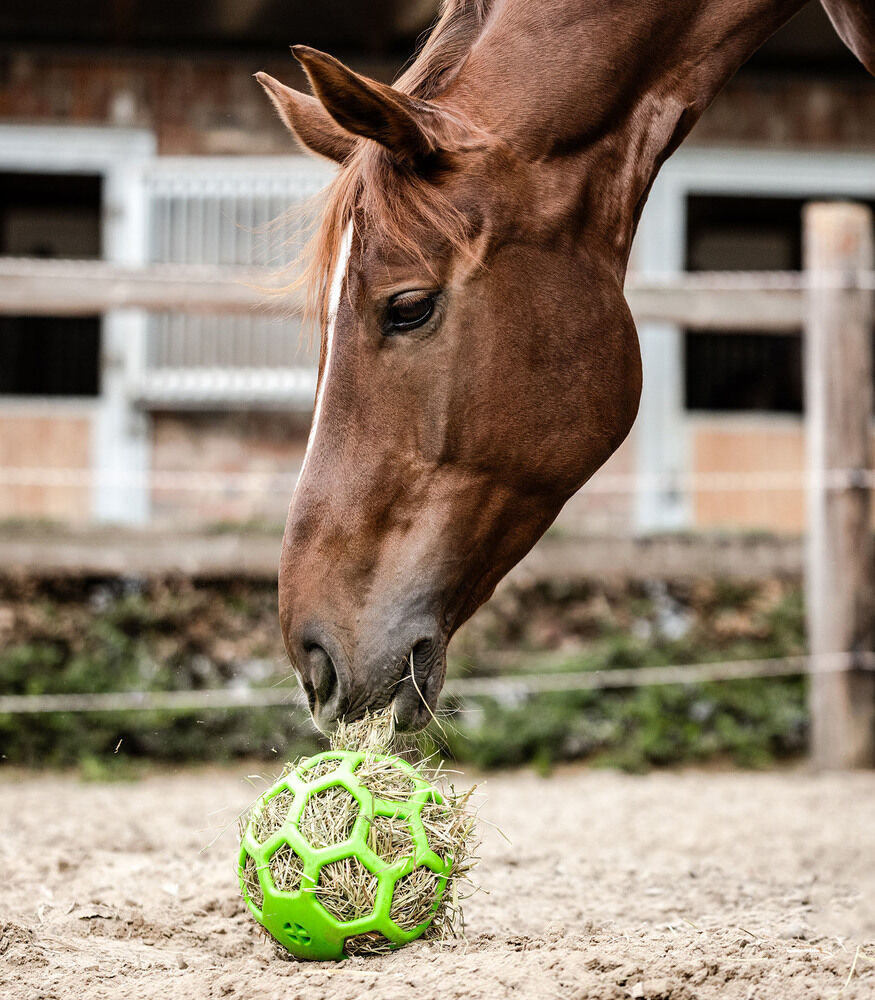 Waldhausen - Voerbal - ⌀ 22 cm - Groen