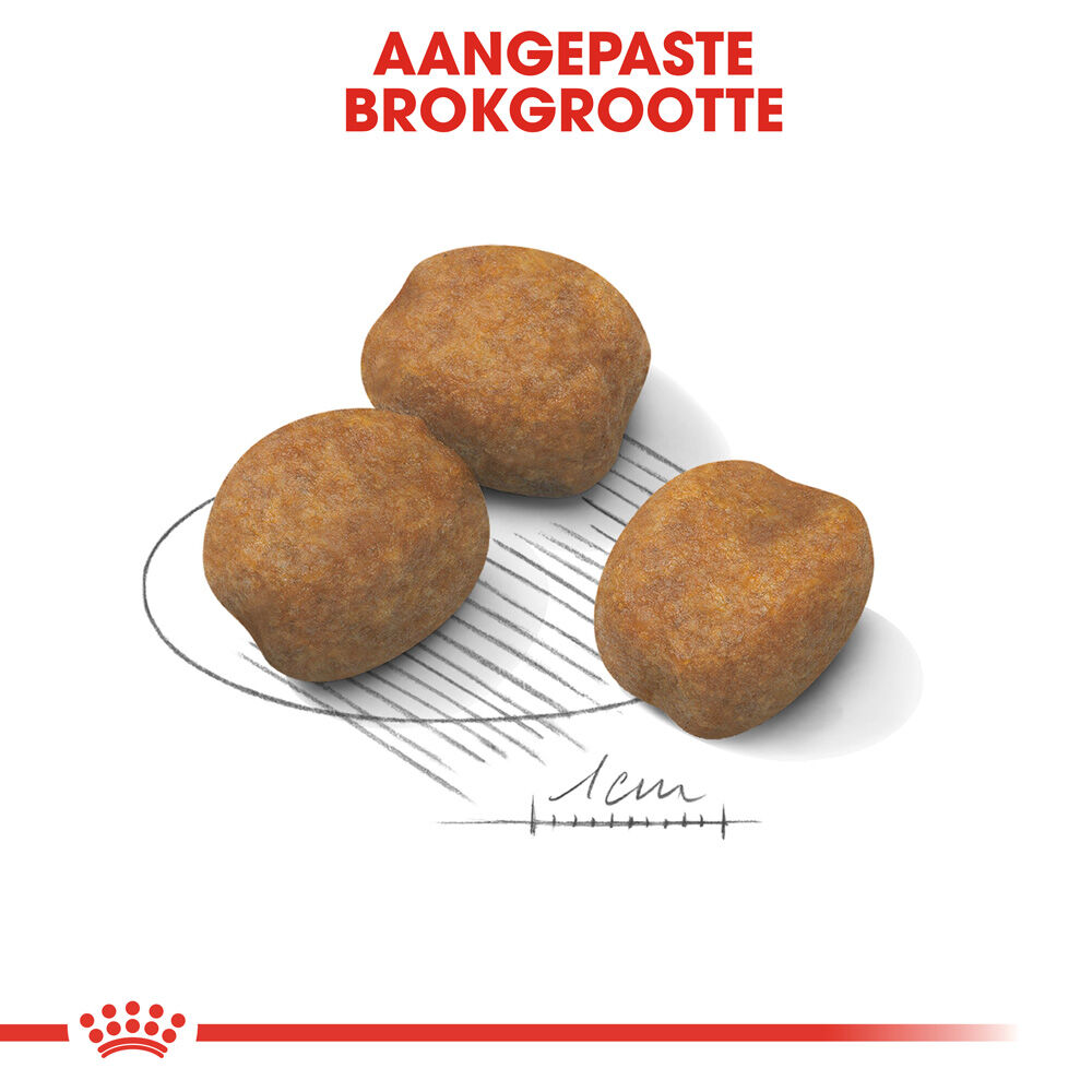 Royal Canin SHN Giant Puppy - Hondenvoer - 15 - gevogelte