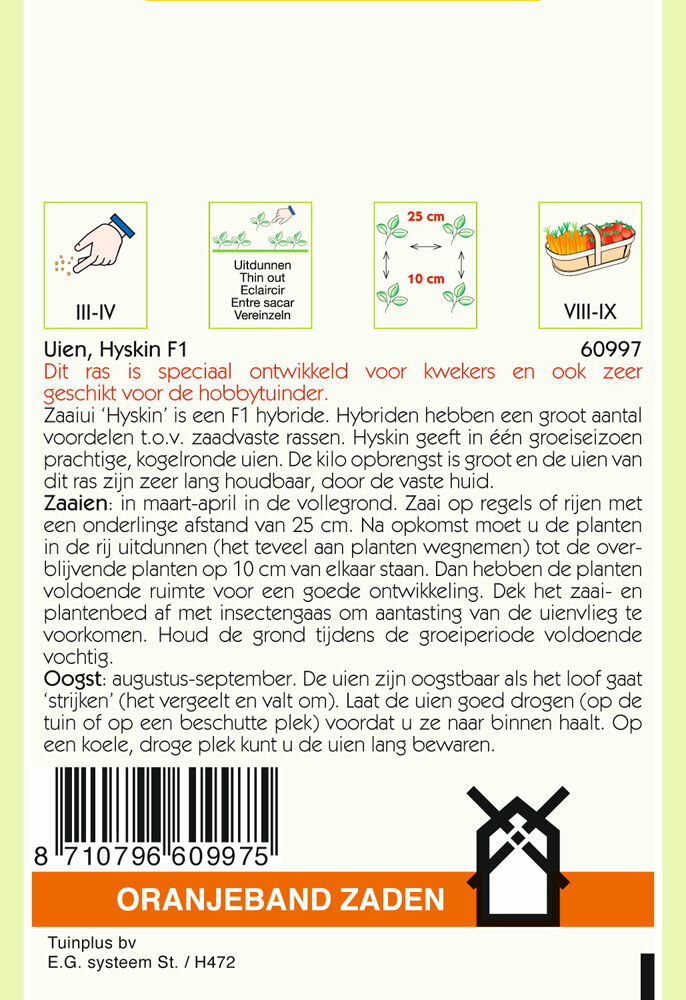 Oranjeband zaden Uien Hyskin F1 - Groentezaden