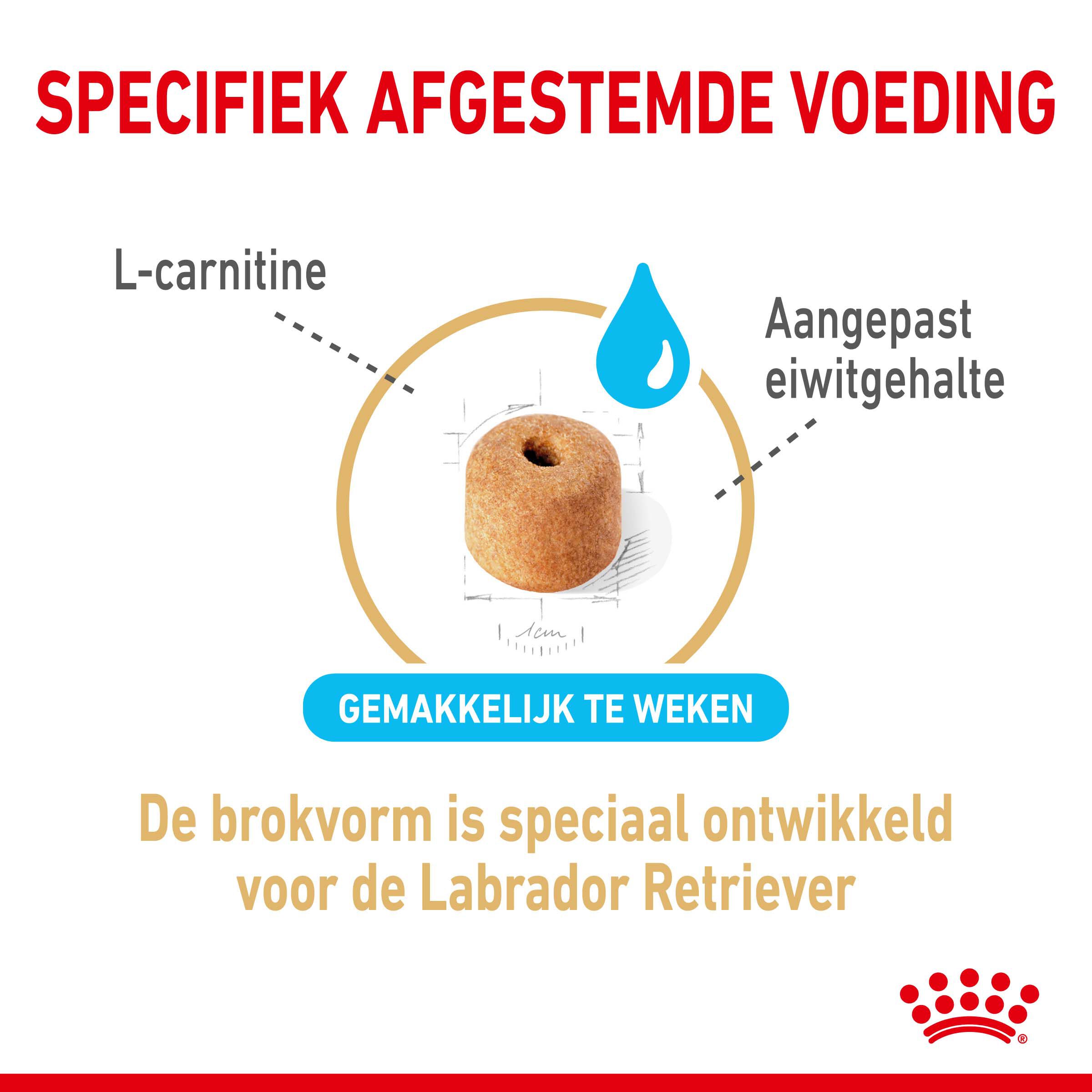 ROYAL CANIN® Adult 5+ Labrador Retriever  - Hondenvoer - 12 - gevogelte