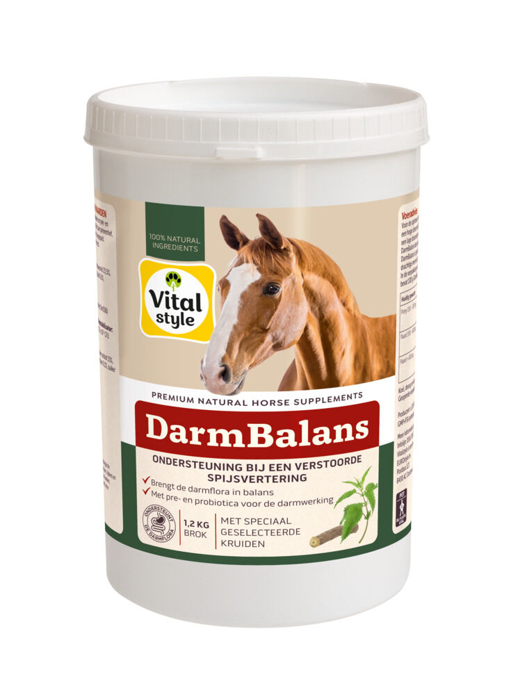 VITALstyle DarmBalans - 1.20 - Pot