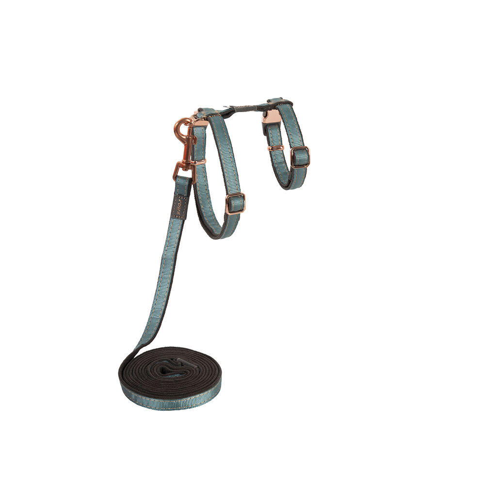 Rogz - Kattentuigje - 40 cm - 4.00 cm - Blauw - 4.00 cm - S - 21.40 cm