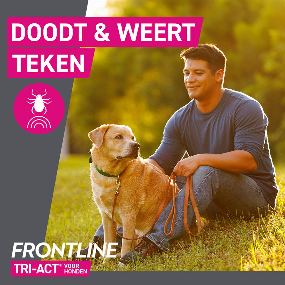 Frontline Tri-Act S - Teken en vlooienpipet - 3 pipetten - S