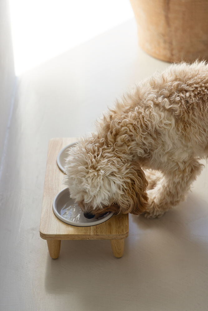 Designd by Lotte - Voer- en drinkbak - Bruin Wit