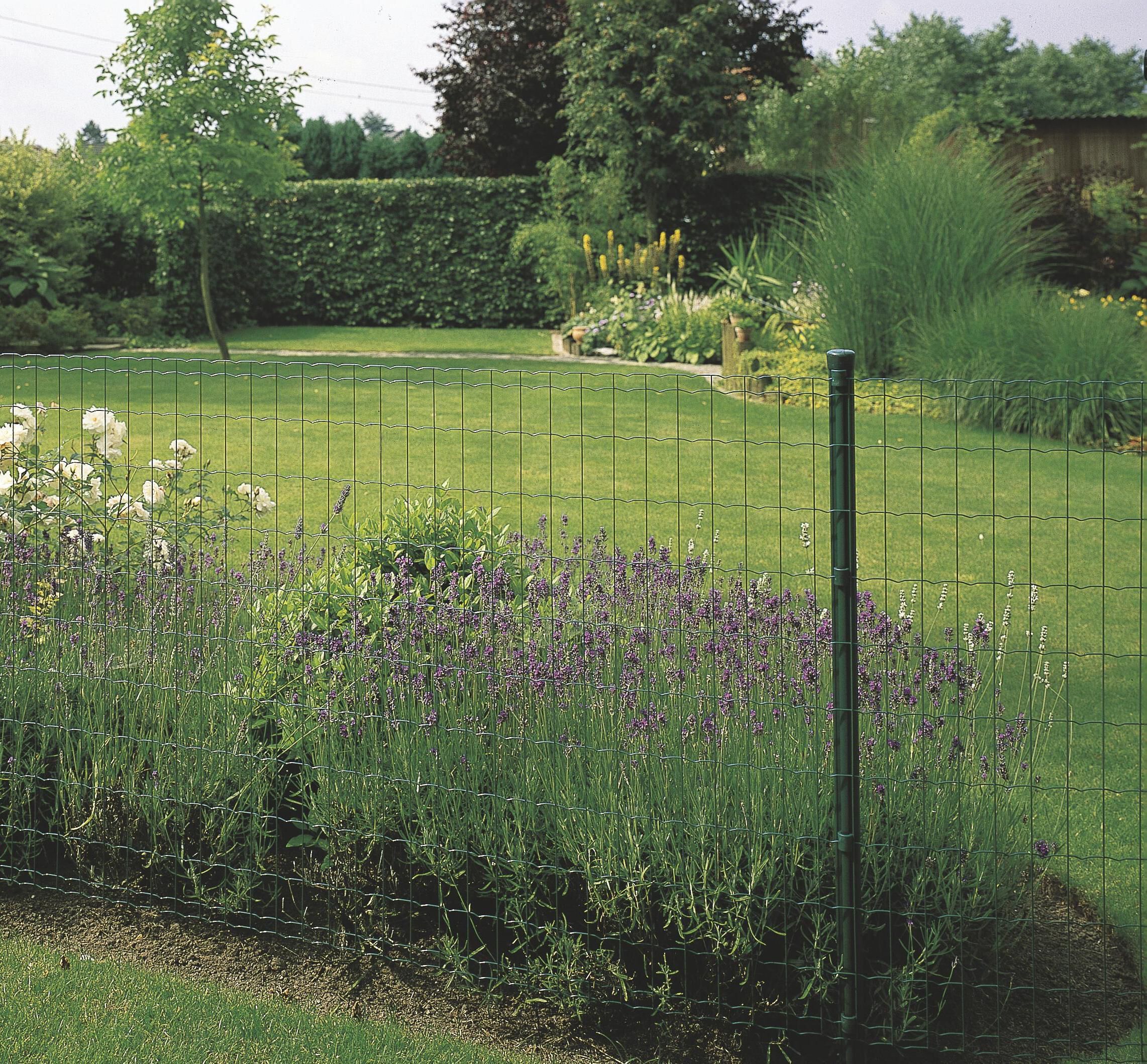 Betafence - Pantanet Family - Gelast tuingaas - Groen - 102 cm - 25 meter