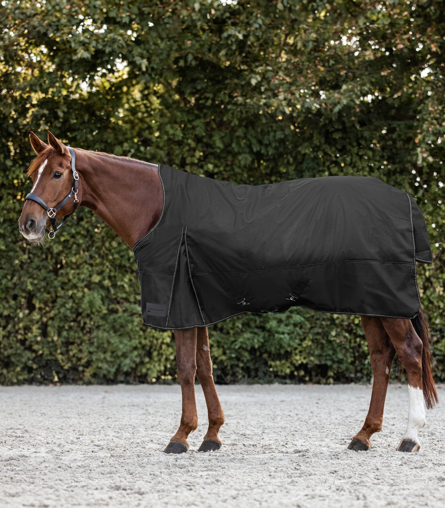 Waldhausen Nordic Hoge nek 200 gr - Winterdeken - Paardendeken