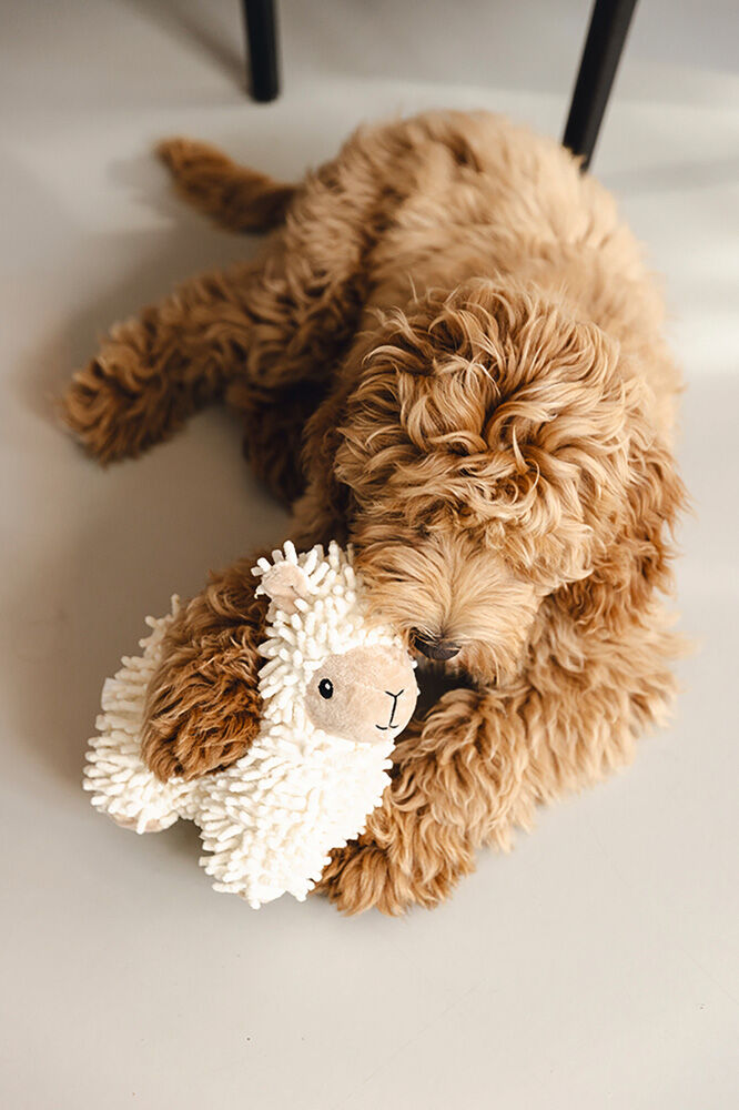 Beeztees Eco Schaap Jovi - Knuffel - Hondenspeelgoed - Beige - 32x18.5x11 cm