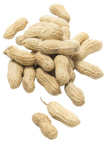 Welkoop Pinda's Ongepeld - Vogelvoer - 400