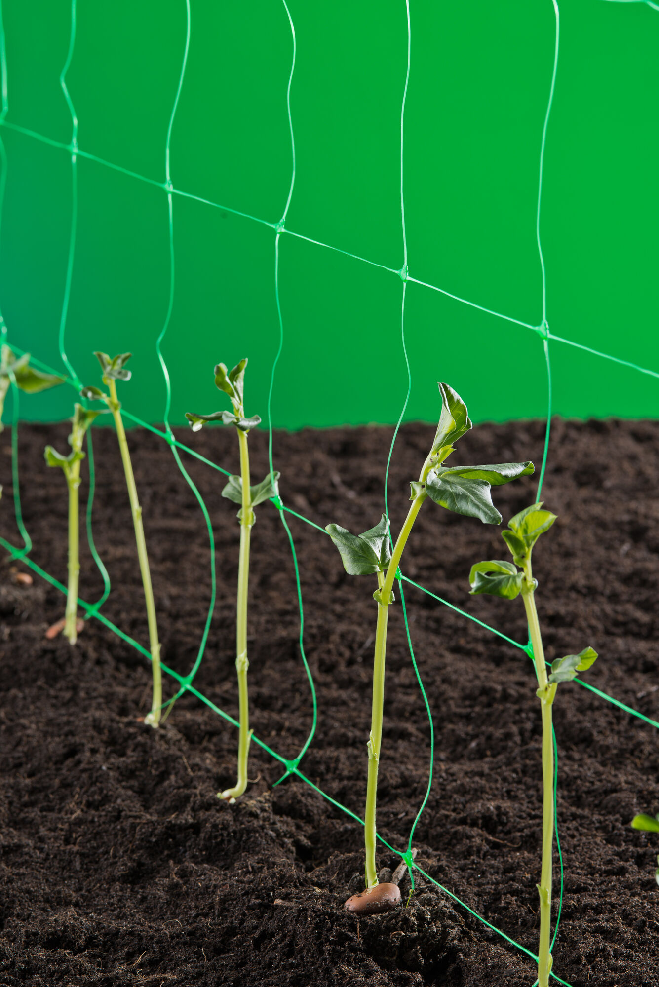 Nature Klim-groeigeleidenet - Plantbescherming - 10x1 meter