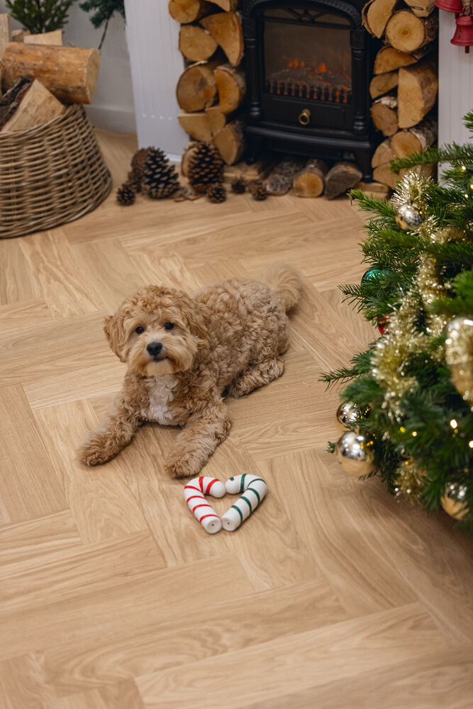 Beeztees Kerst Zuurstok - Hondenspeelgoed - assorti