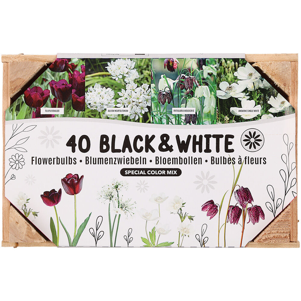 Florex Bloembollen mix - in Kistje Florex Bloembollen mix - in Kistje