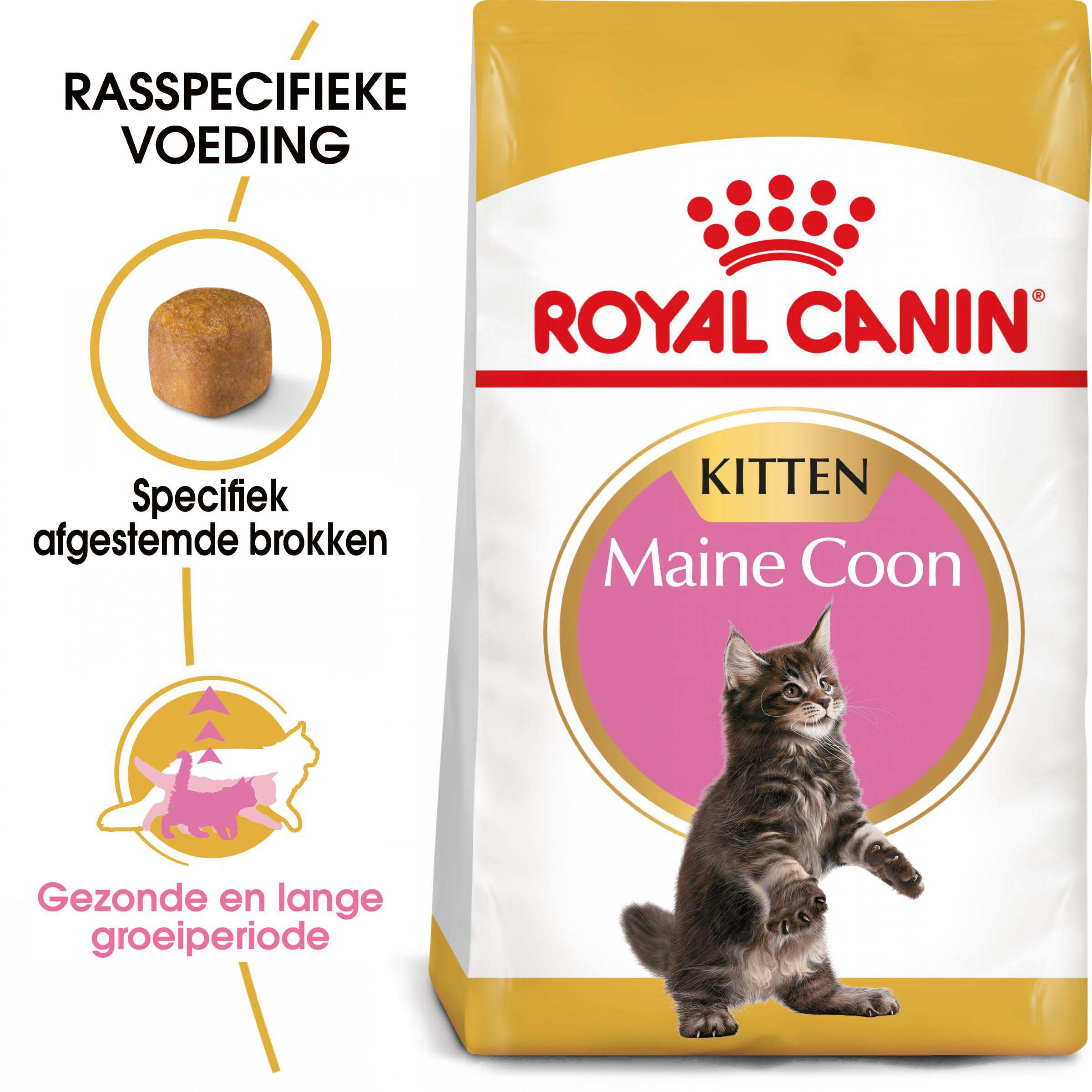 Royal Canin Maine Coon Kitten - Kattenvoer - 4 - Gevogelte