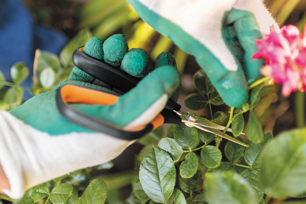 Fiskars Solid Snip SP15 Bloemen - Snoeischaar